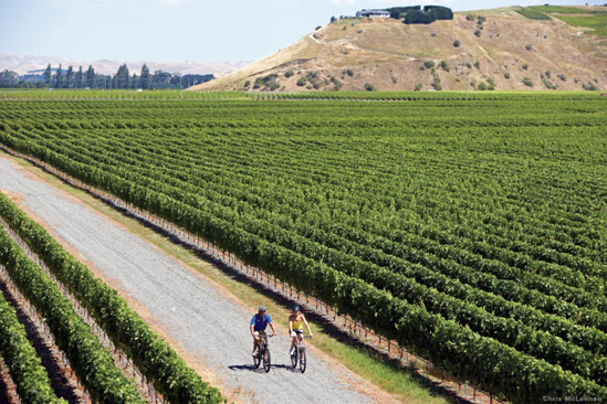 边旅行边运动在世界“最美的跑道”上奔跑