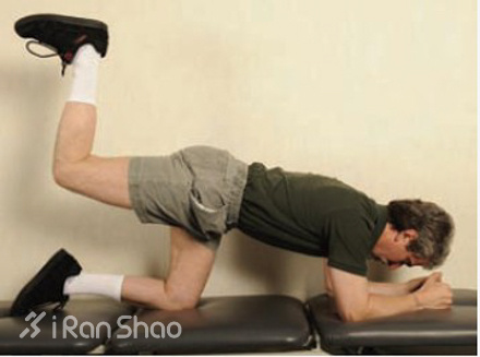 经验 | 你真的知道怎么锻炼臀肌么？