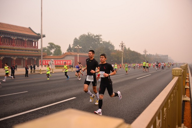有目标就去实现-飞兔的数据北马（赛前训练计划杂谈）