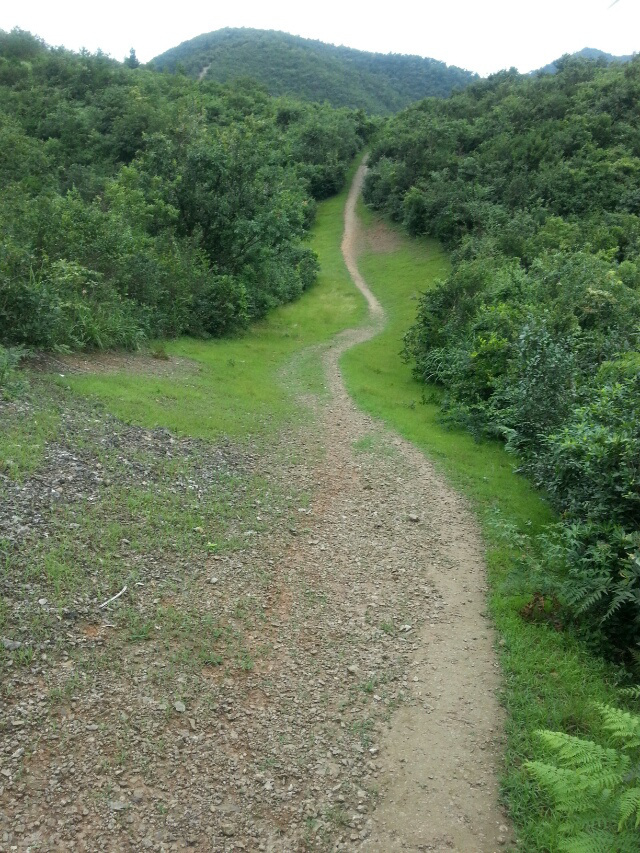 要死就一定死在你手里 --- 柴古唐斯记