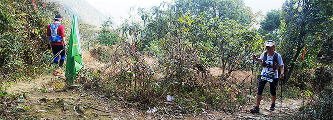 柴古唐斯的白日夜梦