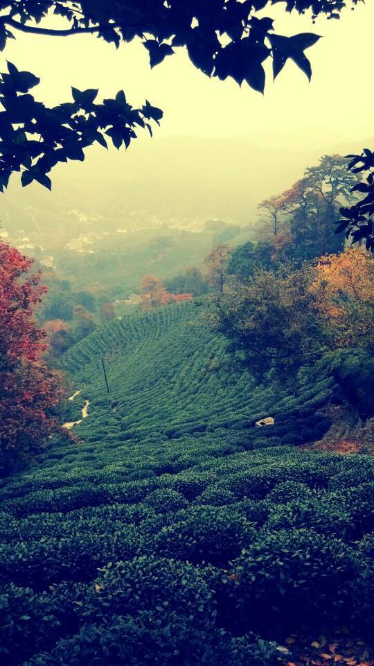 正格32K -- 一场山野间的独自修行
