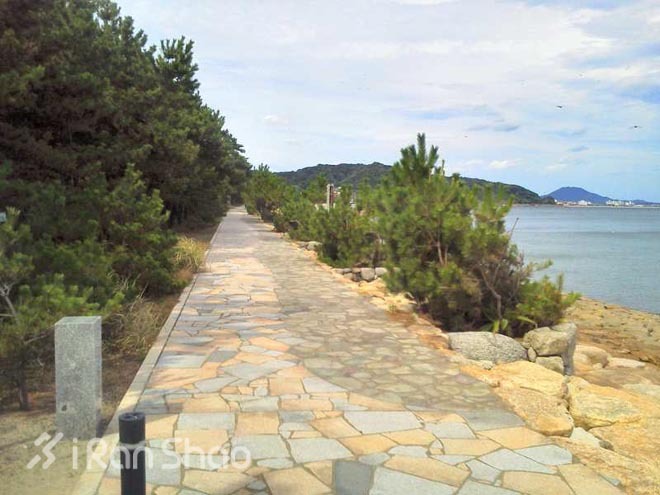 2014年，我们迎来了第一届和第六十八届福冈马拉松