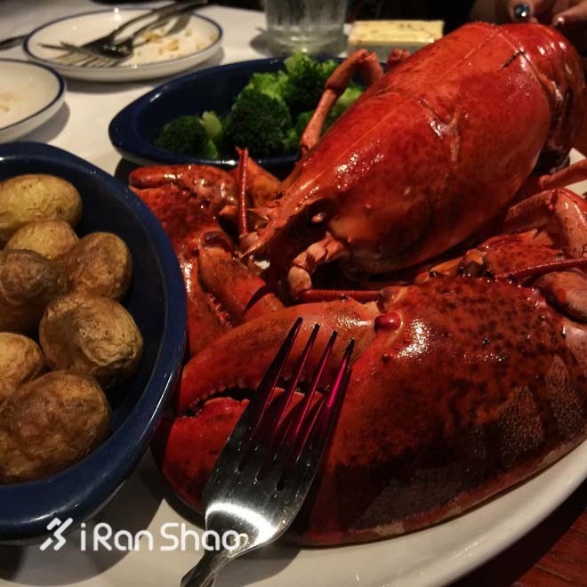 Honolulu Marathon：彩虹下酣畅奔跑