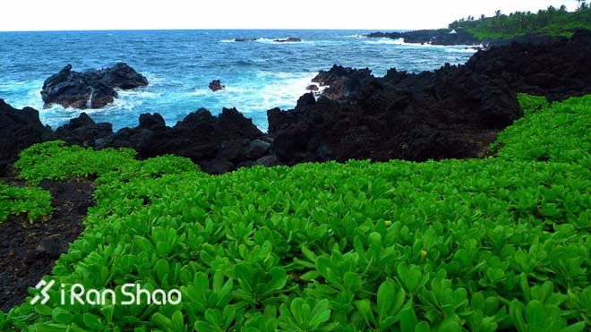 Honolulu Marathon：彩虹下酣畅奔跑