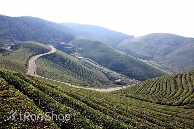 赏景、祈福和奔跑——东钱湖祈福新年马拉松