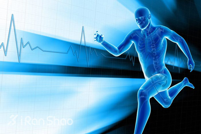 这些黑话你都听说过么？心率训练全解析（三）——从心率区间到基准心率