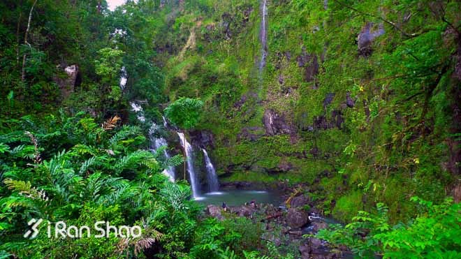 Honolulu Marathon：彩虹下酣畅奔跑