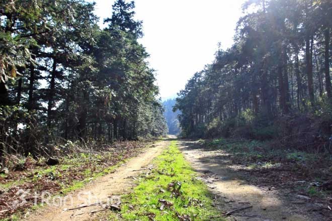 赏景、祈福和奔跑——东钱湖祈福新年马拉松