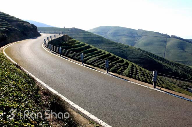赏景、祈福和奔跑——东钱湖祈福新年马拉松