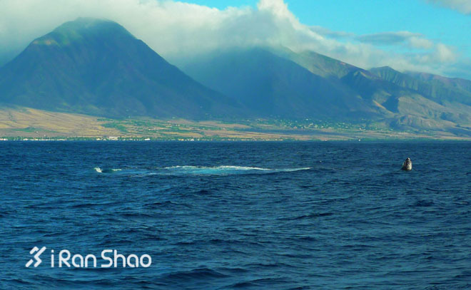 Honolulu Marathon：彩虹下酣畅奔跑