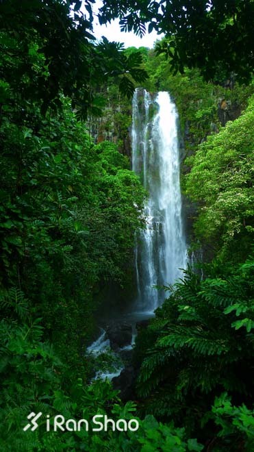 Honolulu Marathon：彩虹下酣畅奔跑