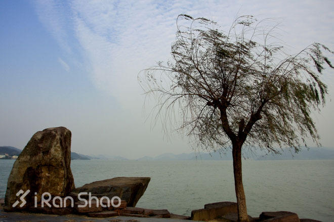 赏景、祈福和奔跑——东钱湖祈福新年马拉松