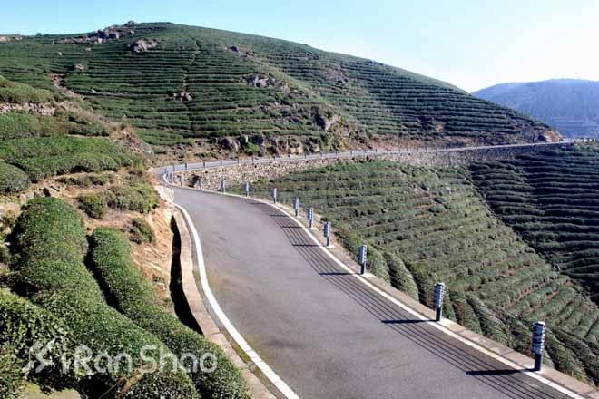 赏景、祈福和奔跑——东钱湖祈福新年马拉松