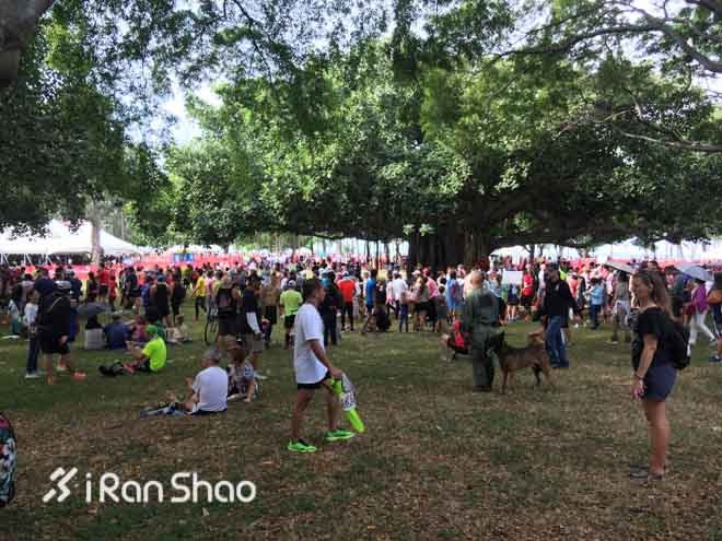 Honolulu Marathon：彩虹下酣畅奔跑