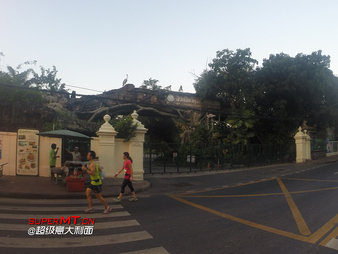 送给自己的生日礼物-2014渣打曼谷马拉松之旅