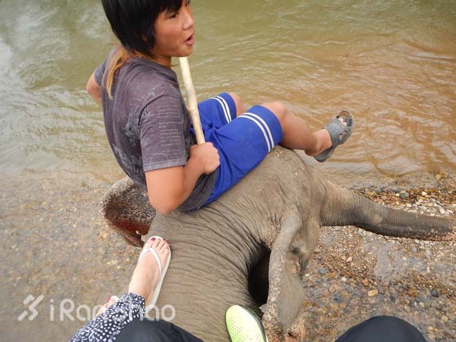 跑马观光两不误—清迈马拉松全记录