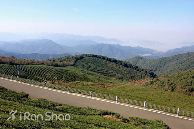 赏景、祈福和奔跑——东钱湖祈福新年马拉松