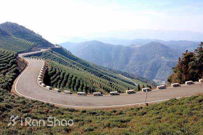 赏景、祈福和奔跑——东钱湖祈福新年马拉松