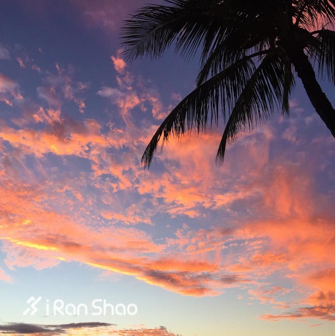 Honolulu Marathon：彩虹下酣畅奔跑