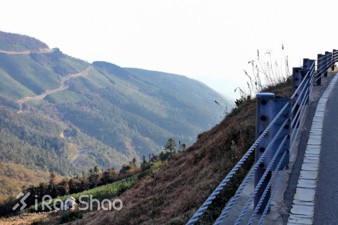 赏景、祈福和奔跑——东钱湖祈福新年马拉松