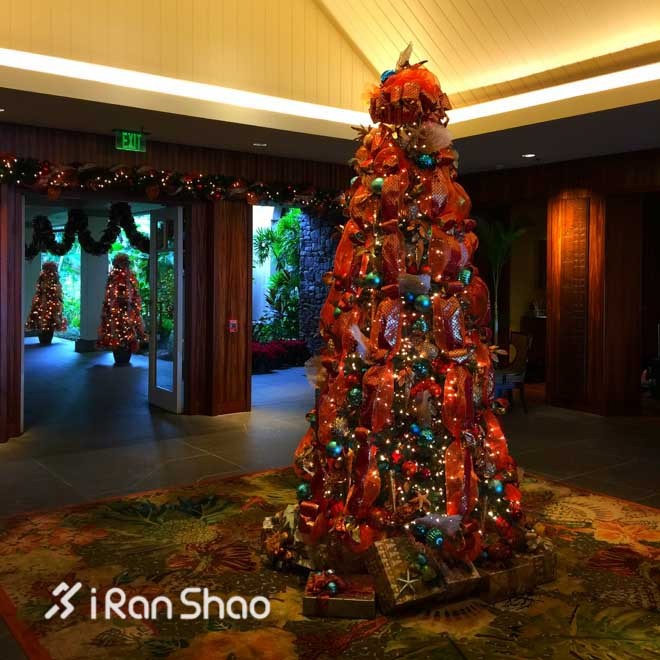 Honolulu Marathon：彩虹下酣畅奔跑