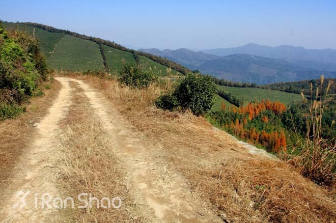 赏景、祈福和奔跑——东钱湖祈福新年马拉松