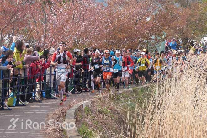 2014赛事年终评选 | 国际越野跑大事纪