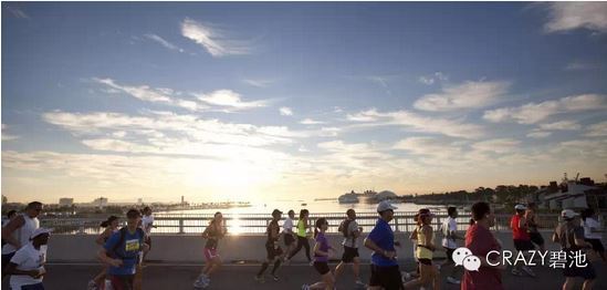 2015海口马拉松 - 奔跑在椰树海滩之滨（比赛手记）