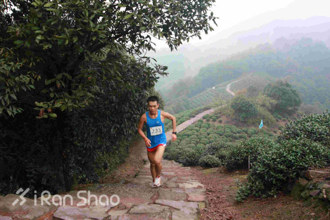 2014赛事年终评选 | 国内越野跑大事纪