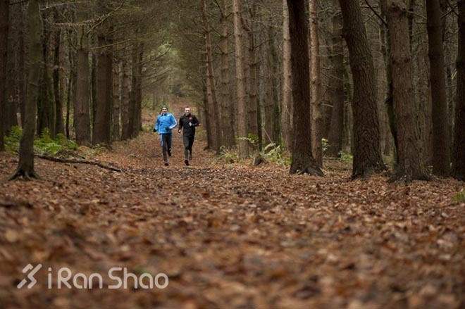 2014赛事年终评选 | 国际越野跑大事纪