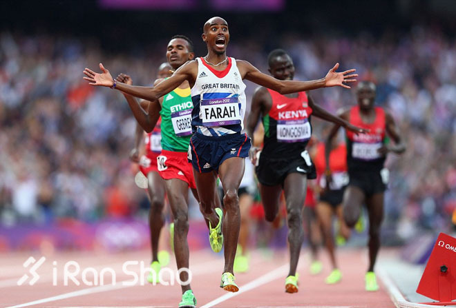 荣耀与耻辱： 2014 世界马拉松纵览