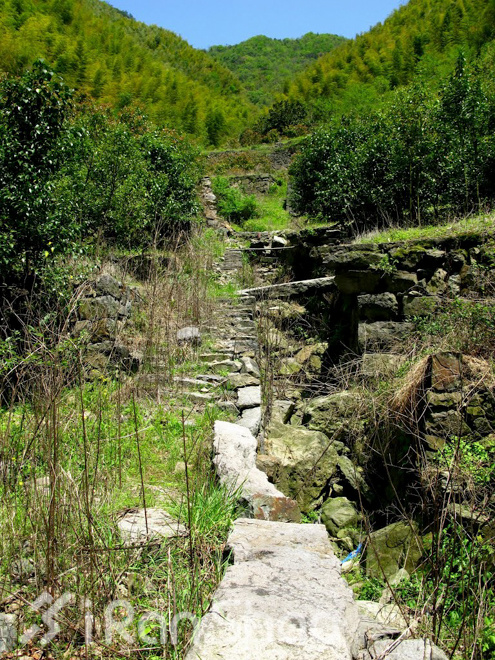 竹海山水中的江南越野——江南50路线初体验