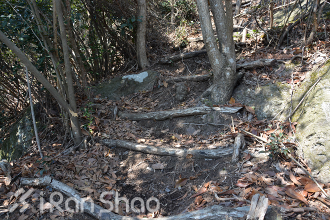 竹海山水中的江南越野——江南50路线初体验