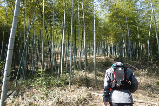 竹海山水中的江南越野——江南50路线初体验