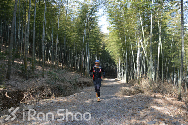 竹海山水中的江南越野——江南50路线初体验