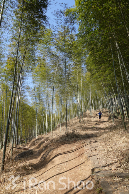 竹海山水中的江南越野——江南50路线初体验