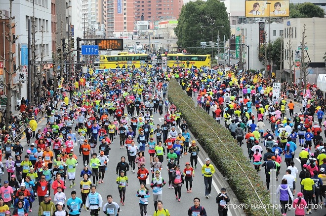 直通东京 | 和他们一起见证2015东京马拉松