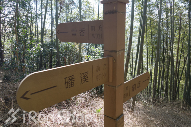 竹海山水中的江南越野——江南50路线初体验