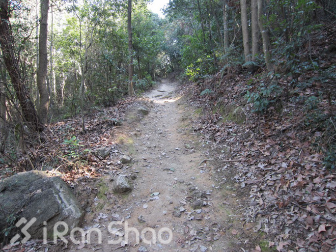 竹海山水中的江南越野——江南50路线初体验