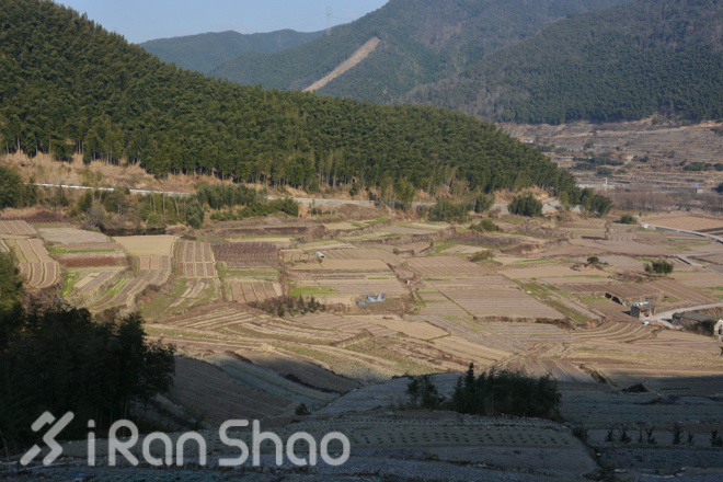 宁波樱花女子半程马拉松路线探秘