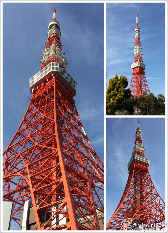 春节日本双马行记