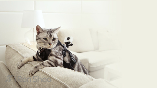 不发烧不许用 小蚁运动相机搅局发布