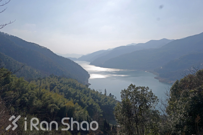 宁波樱花女子半程马拉松路线探秘