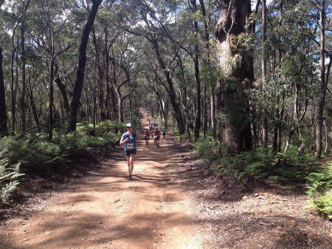 蓝山六英尺道马拉松