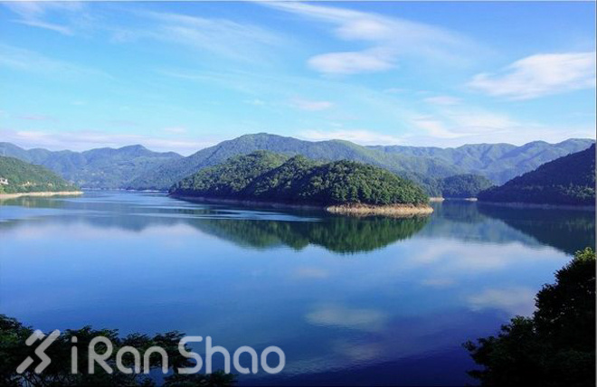 宁波樱花女子半程马拉松路线探秘