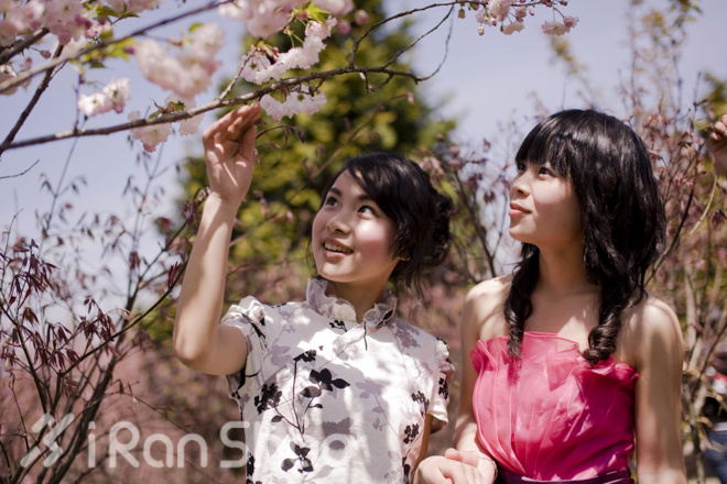 宁波樱花女子半程马拉松路线探秘