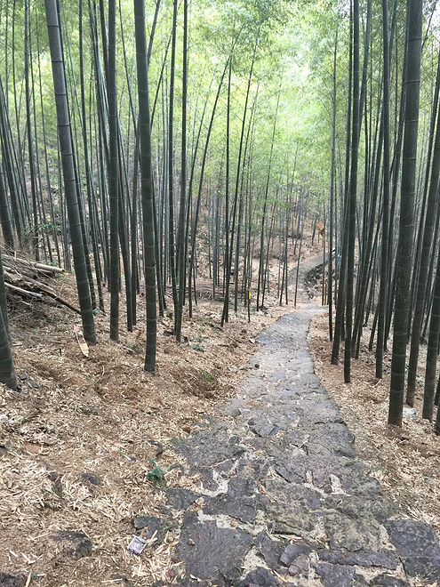 记首个越野赛HZ100体验《不止于此》