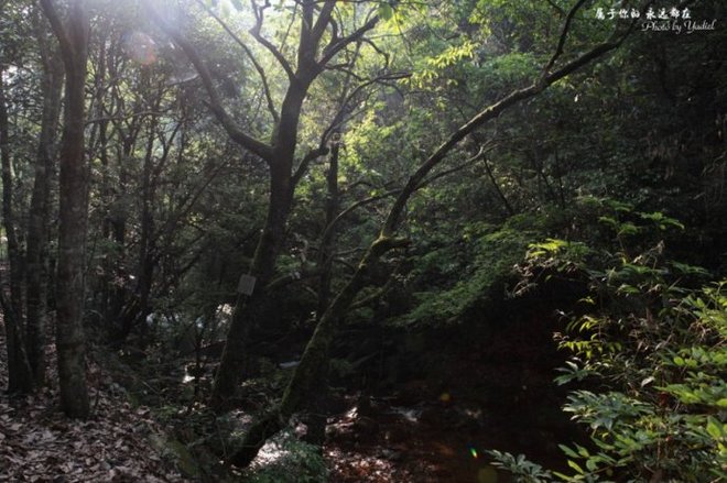 开化美食美景篇