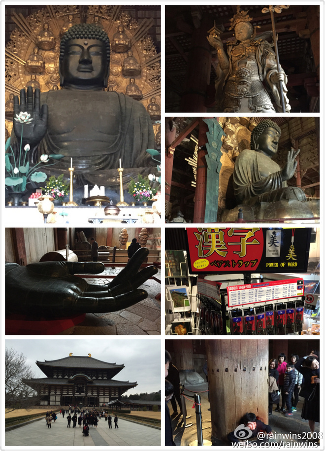 春节日本双马行记